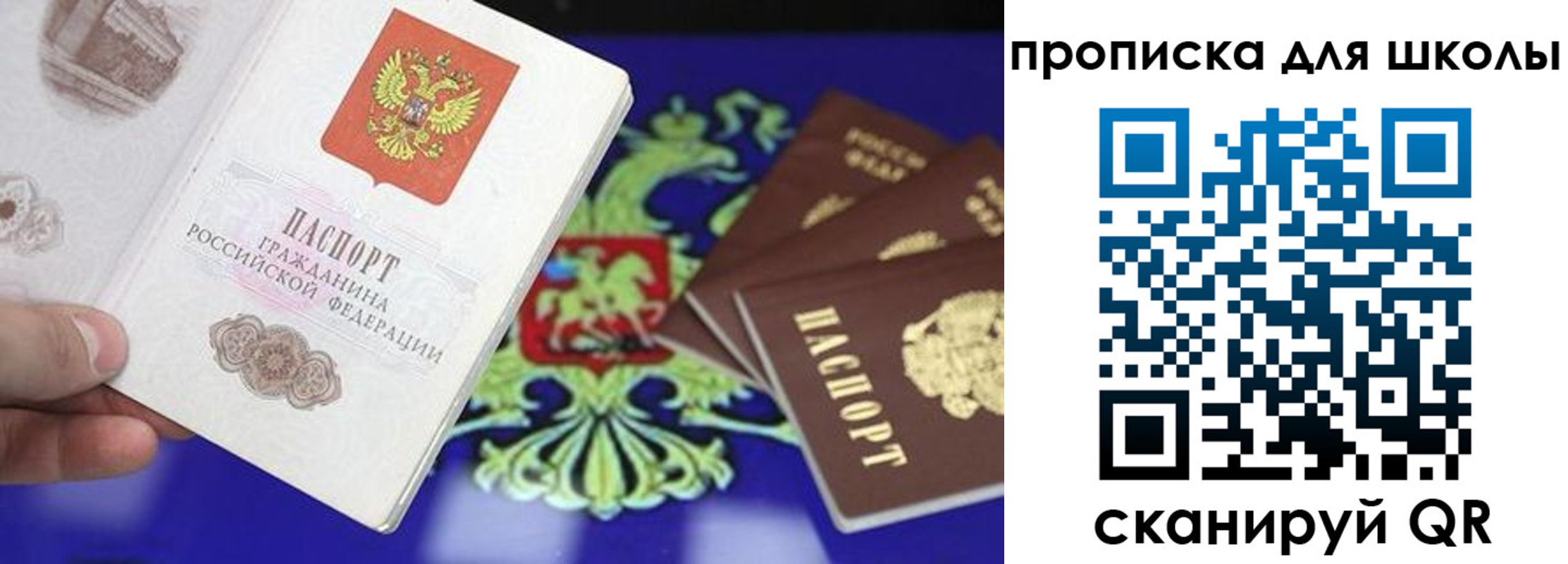прописка в квартире в Читинской области